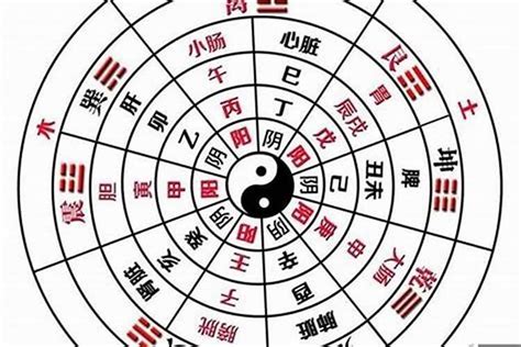 八字陰陽怎麼看|八字看陰陽的正確方法